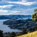 Dunedin